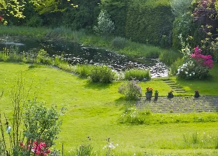 Rana * Lindau (Bodensee)